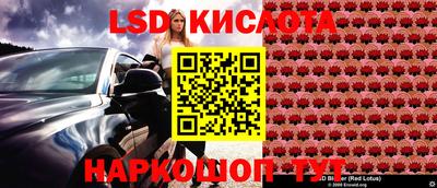 дмт Гагарин