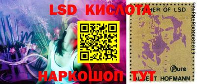 стаф Гай