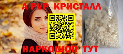 стаф Гай
