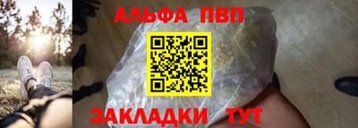 стаф Гай