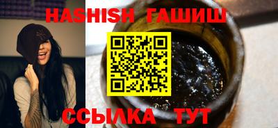 стаф Гай